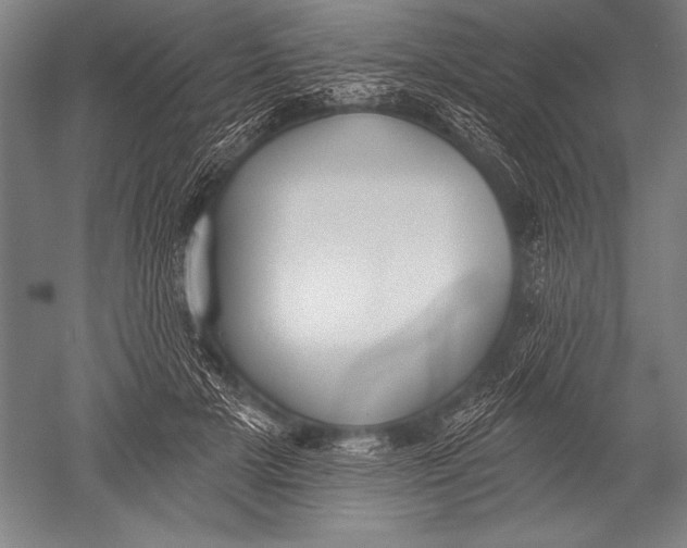 X0000051260505200507082220