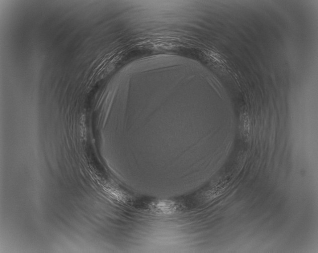 X0000051260506200507082220
