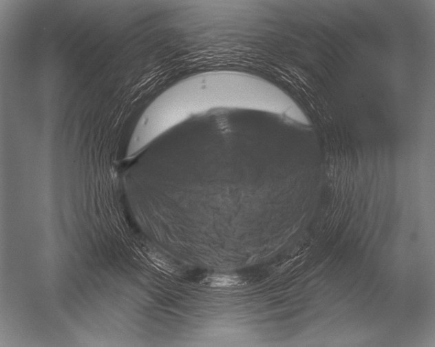 X0000051260507200507082220