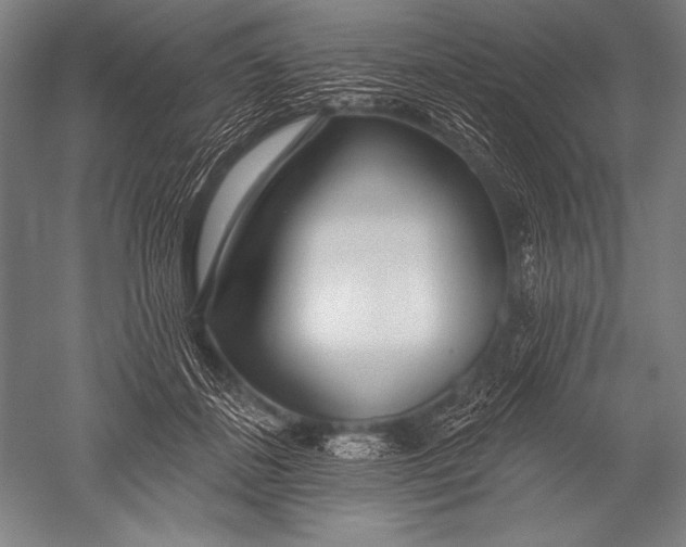 X0000051260508200507082220
