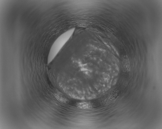 X0000051260511200507082220