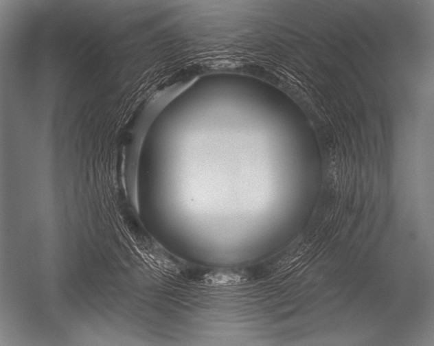 X0000051260512200507082220