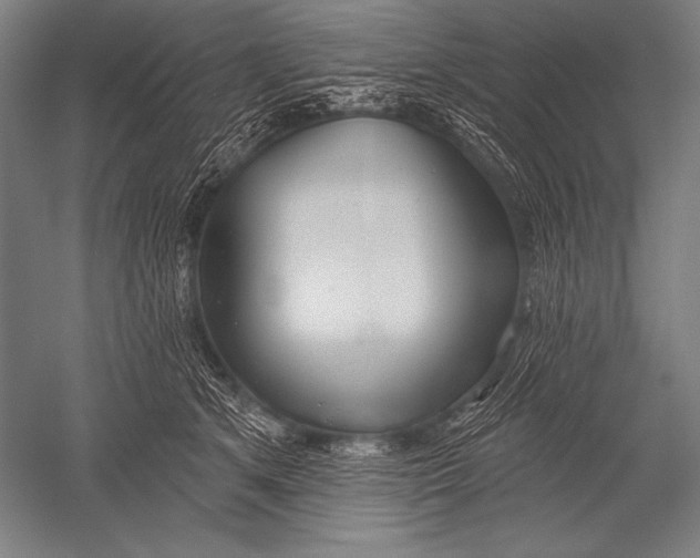 X0000051260513200507082220