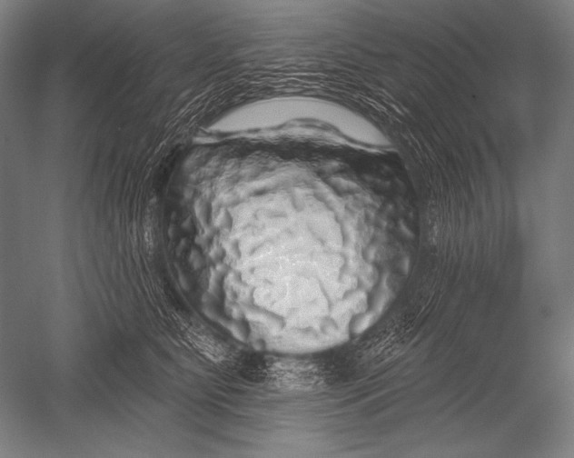 X0000051260515200507082220