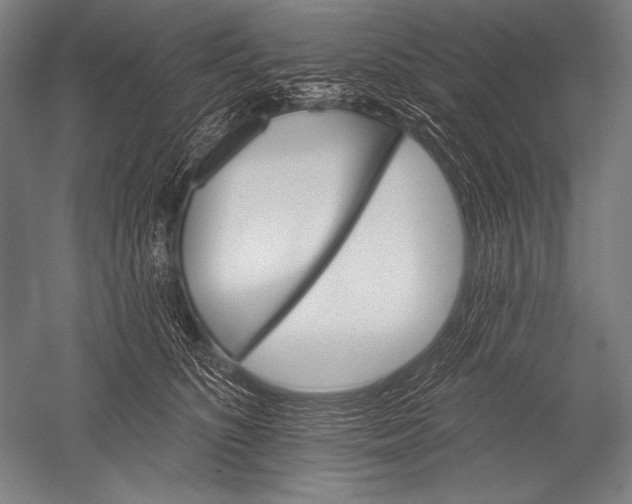X0000051260516200507082220