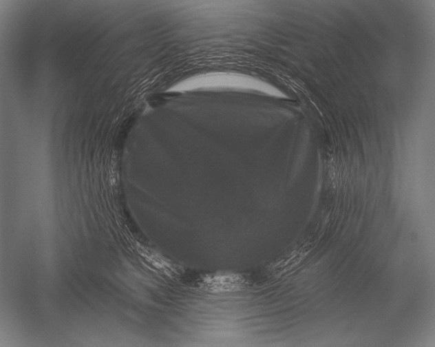 X0000051260517200507082220