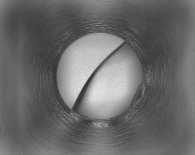 X0000051260520200507082220