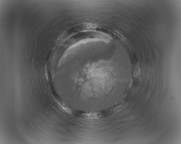 X0000051260524200507082220