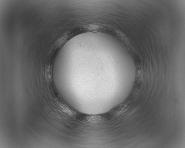 X0000051260525200507082220