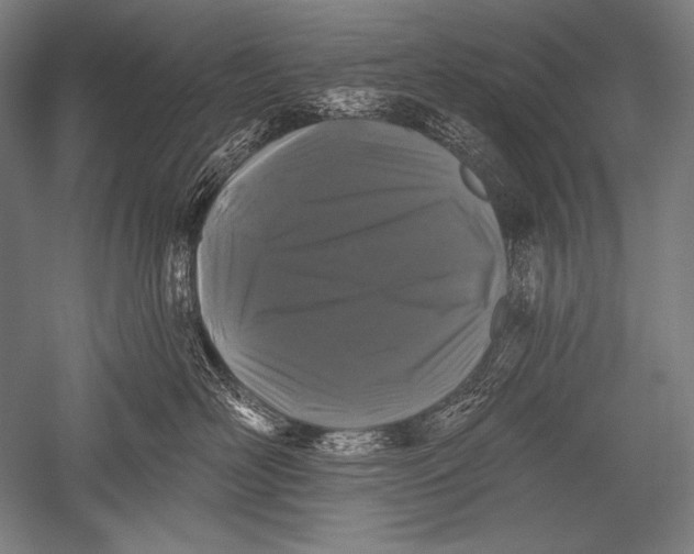 X0000051260526200507082220