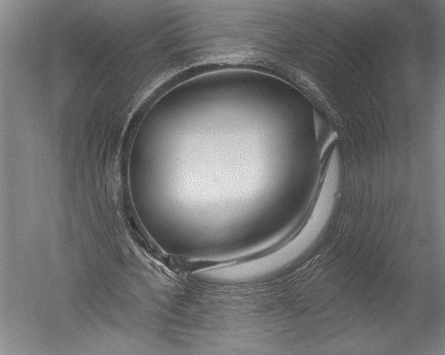 X0000051260532200507082219