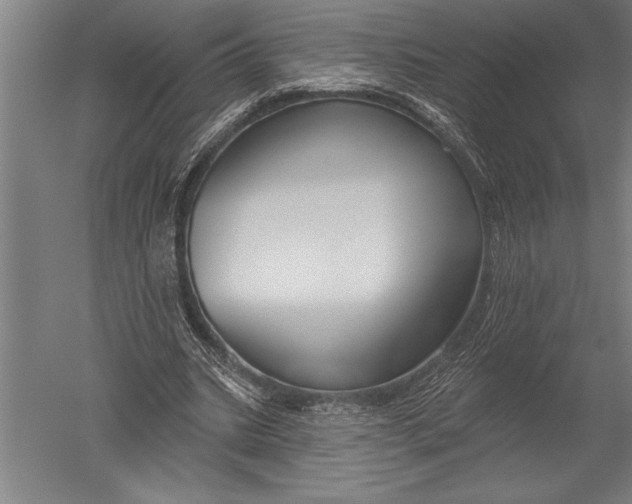 X0000051260535200507082219