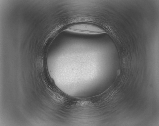 X0000051260539200507082219