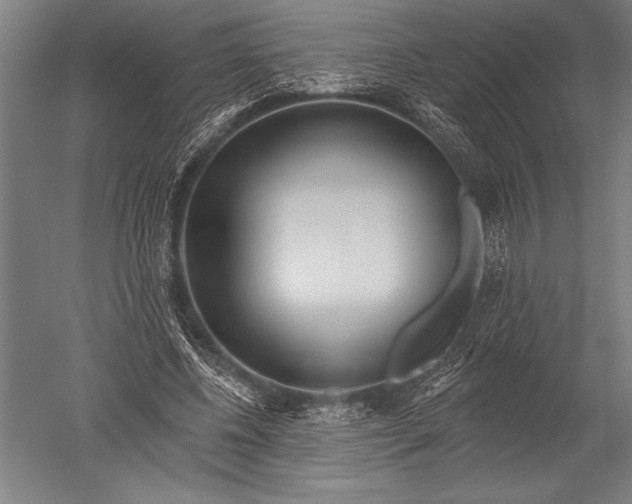 X0000051260540200507082219