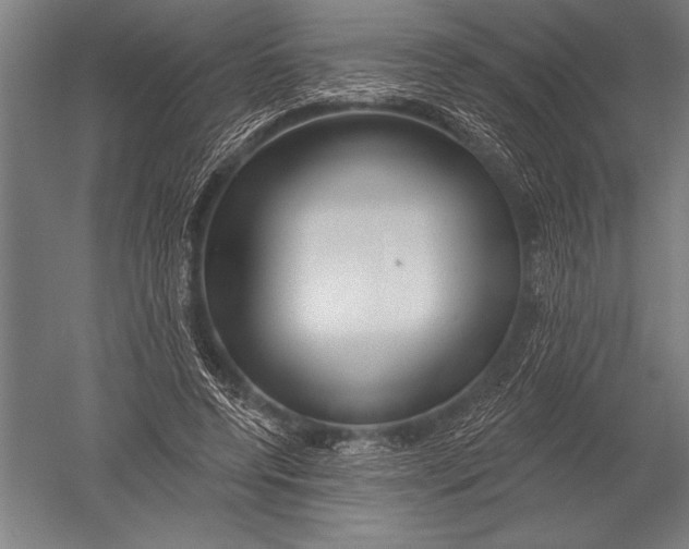 X0000051260544200507082219