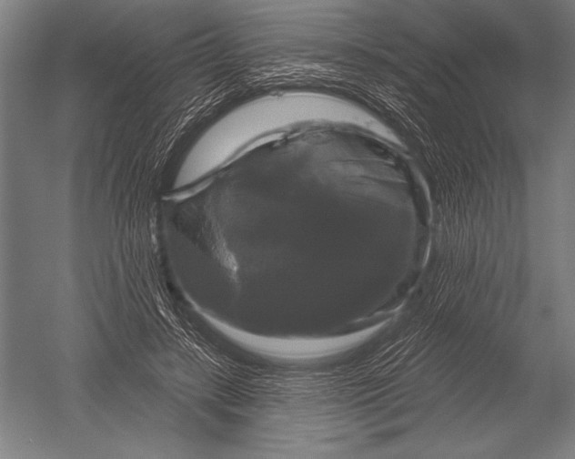 X0000051260547200507082220