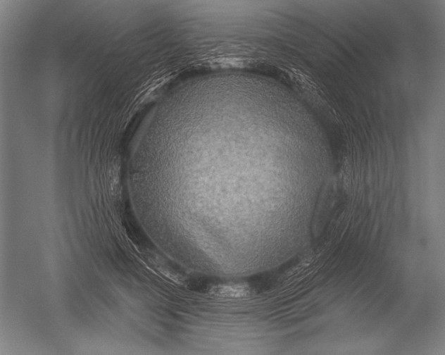 X0000051260548200507082220