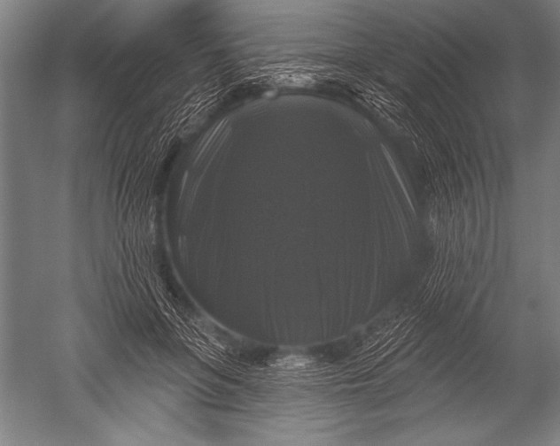 X0000051260551200507082220