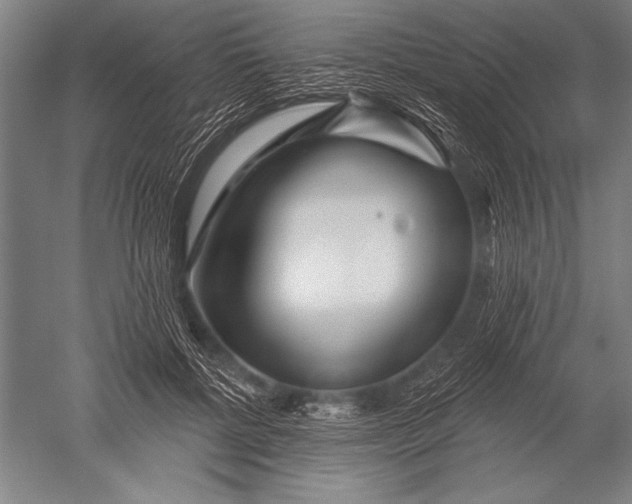 X0000051260552200507082220