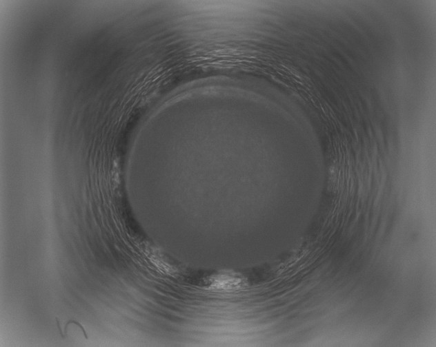 X0000051260555200507082220