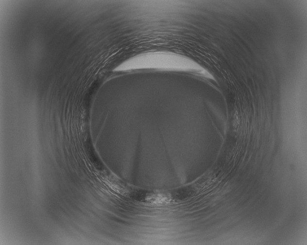 X0000051260559200507082220