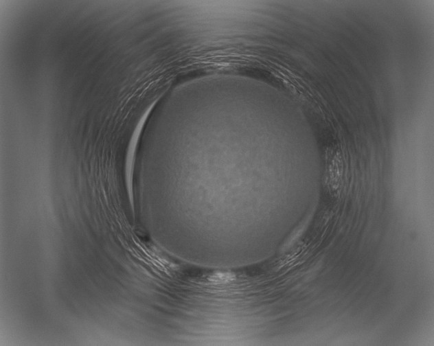 X0000051260562200507082220