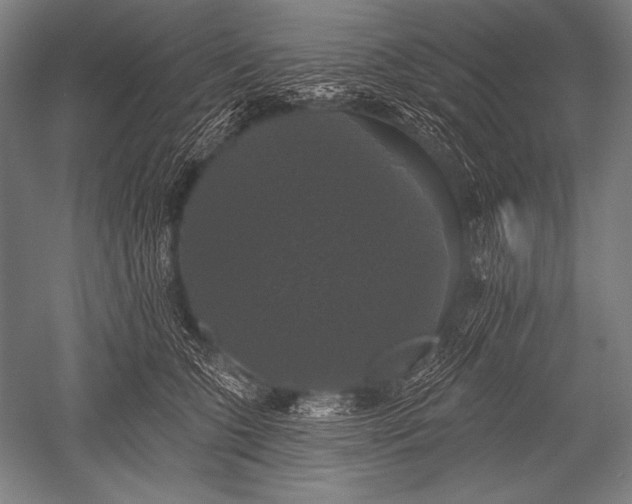 X0000051260563200507082220