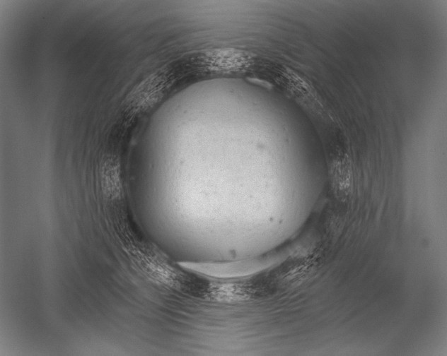 X0000051260564200507082220