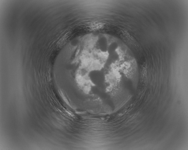 X0000051260565200507082220