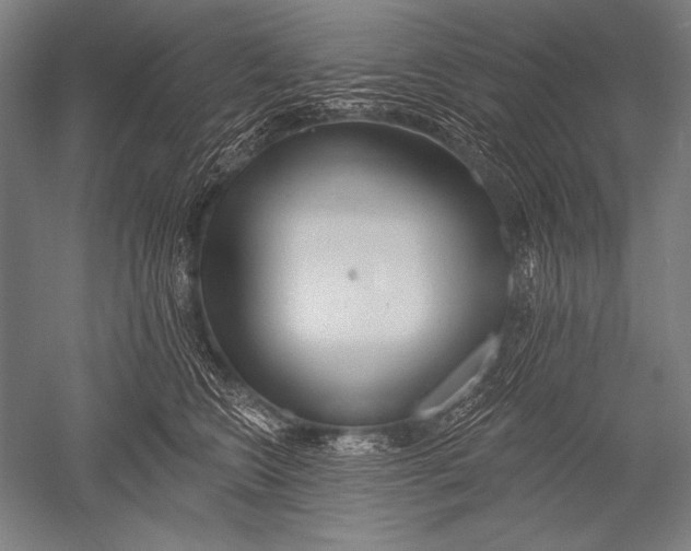 X0000051260566200507082220