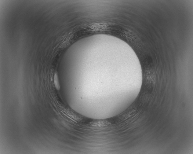 X0000051260567200507082220