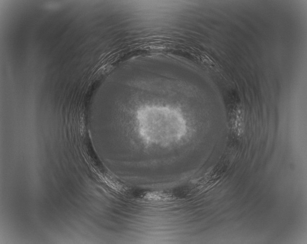 X0000051260568200507082220
