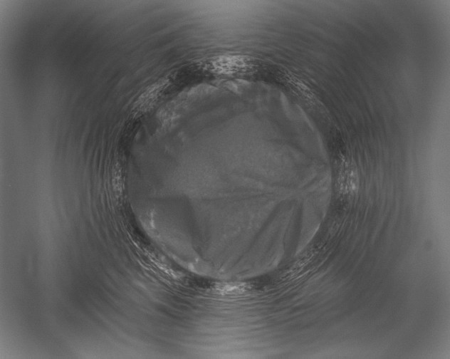 X0000051260569200507082220