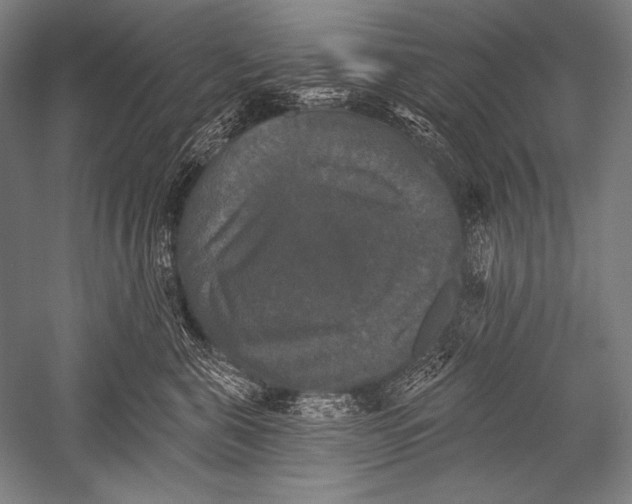 X0000051260571200507082220