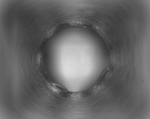 X0000051260574200507082220