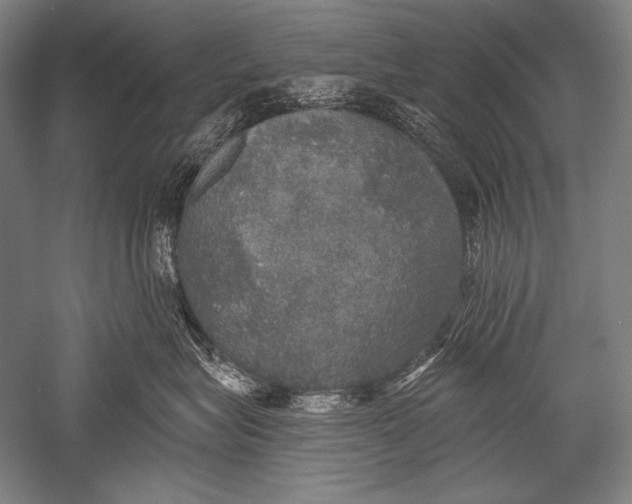 X0000051260575200507082220