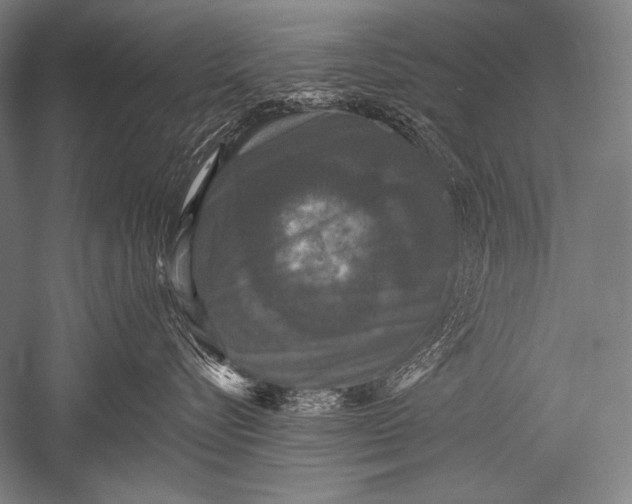 X0000051260576200507082220