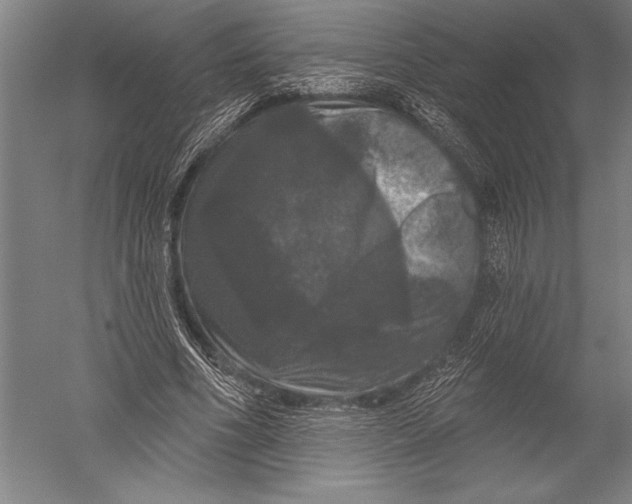 X0000051260586200507082219