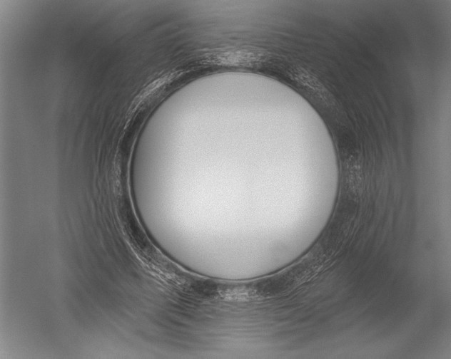 X0000051260587200507082219