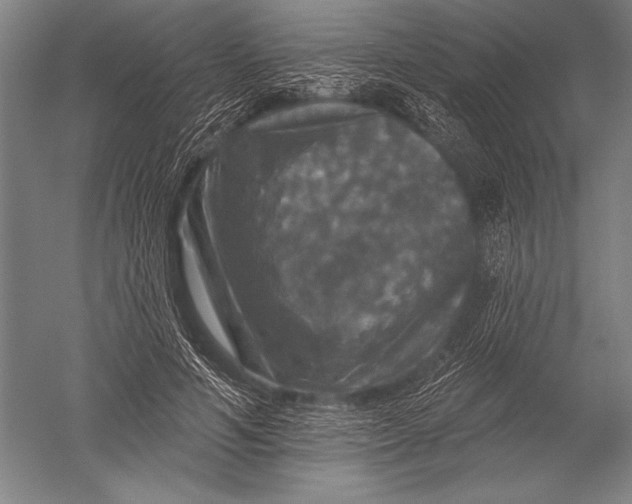 X0000051260594200507082219