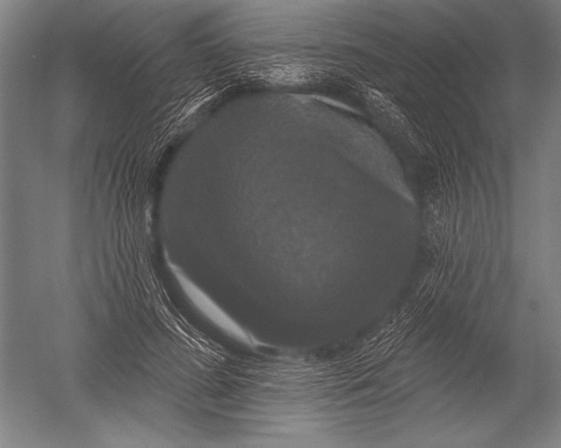 X0000051260596200507082219