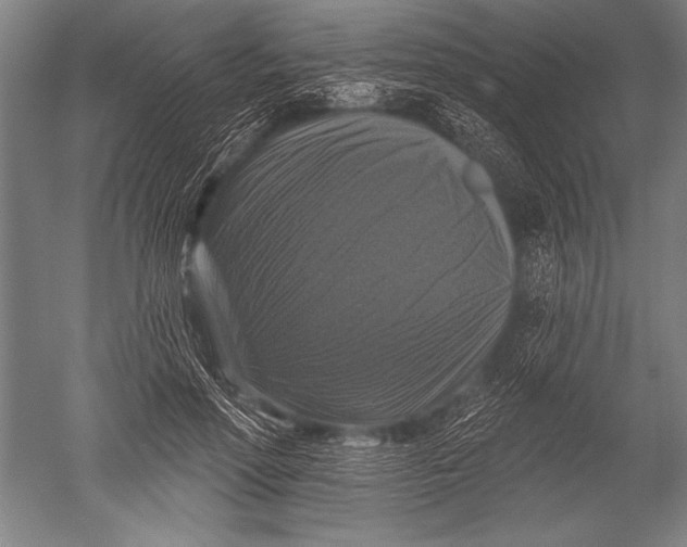 X0000051260598200507082219