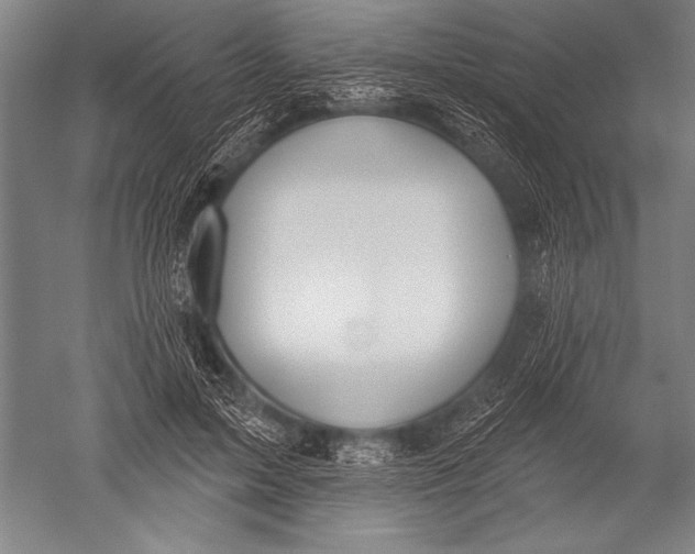 X0000051260599200507082219
