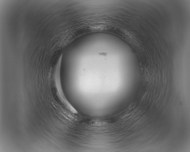 X0000051260601200507082219