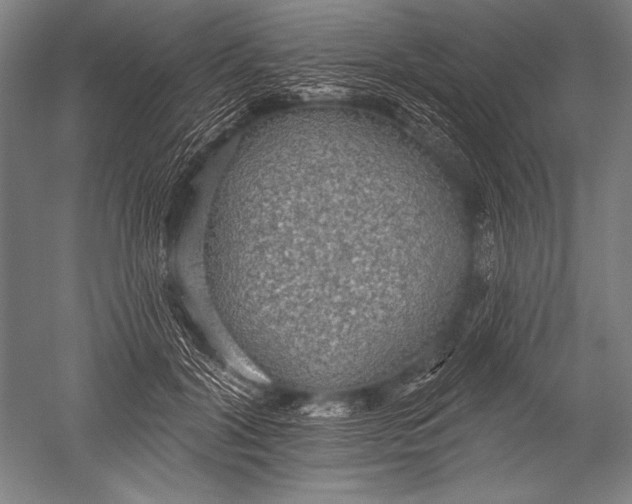 X0000051260604200507082219