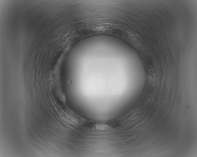 X0000051260605200507082219