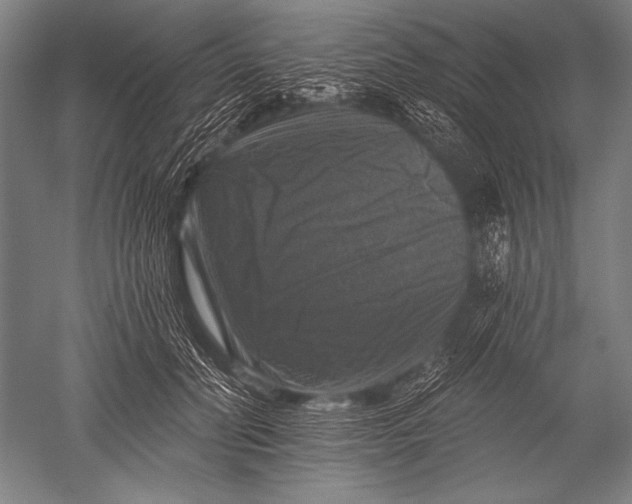 X0000051260606200507082219