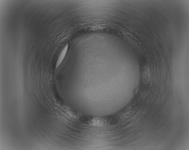 X0000051260608200507082219