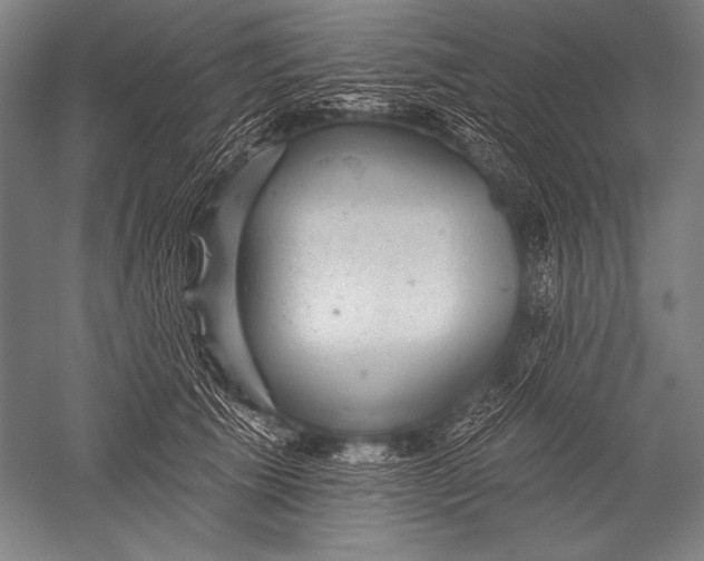 X0000051260609200507082219