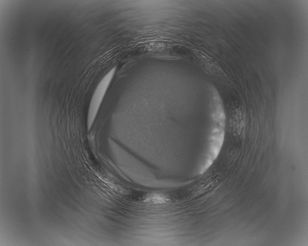X0000051260610200507082219
